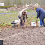 Sestdienas talka Daugmalē